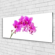 tulup.sk Skleneny obraz Vstavač kvet orchidea 125x50 cm 4 Prívesky