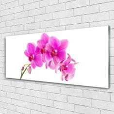 tulup.sk Skleneny obraz Vstavač kvet orchidea 125x50 cm 4 Prívesky