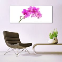 tulup.sk Skleneny obraz Vstavač kvet orchidea 125x50 cm 4 Prívesky