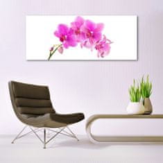 tulup.sk Skleneny obraz Vstavač kvet orchidea 125x50 cm 4 Prívesky