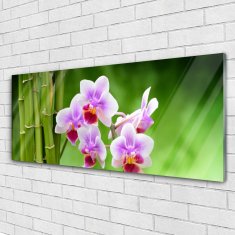 tulup.sk Skleneny obraz Bambus orchidea kvety zen 125x50 cm 2 Prívesky