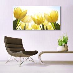 tulup.sk Skleneny obraz Tulipány kvety lúče 140x70 cm 2 Prívesky