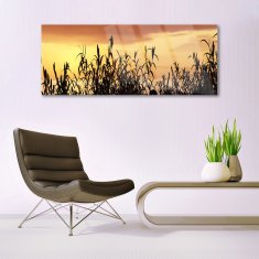 tulup.sk Skleneny obraz Listy západ lúka pole 125x50 cm 2 Prívesky