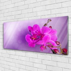 tulup.sk Skleneny obraz Kvety plátky orchidea 125x50 cm 2 Prívesky