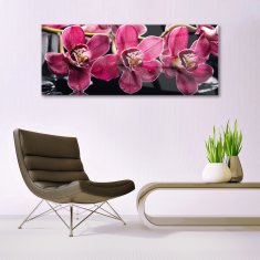 tulup.sk Skleneny obraz Kvety orchidey výhonky príroda 125x50 cm 4 Prívesky