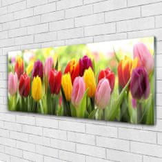 tulup.sk Skleneny obraz Tulipány kvety príroda 125x50 cm 2 Prívesky