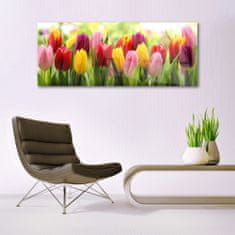 tulup.sk Skleneny obraz Tulipány kvety príroda 125x50 cm 2 Prívesky