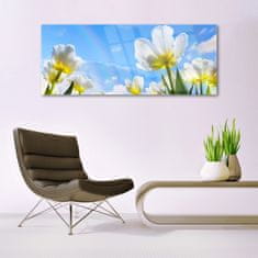 tulup.sk Skleneny obraz Rastliny kvety tulipány 125x50 cm 4 Prívesky