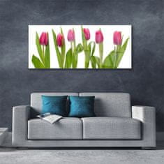 tulup.sk Skleneny obraz Tulipány kvety rastlina 125x50 cm 2 Prívesky