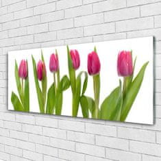 tulup.sk Skleneny obraz Tulipány kvety rastlina 125x50 cm 2 Prívesky