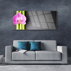 tulup.sk Skleneny obraz Bambus kvet orchidea 125x50 cm 4 Prívesky