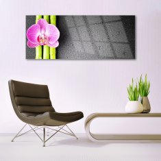 tulup.sk Skleneny obraz Bambus kvet orchidea 125x50 cm 4 Prívesky