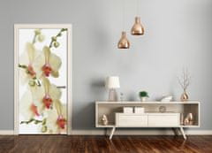 tulup.sk Samolepiace fototapety na dvere orchidea 85x205 cm