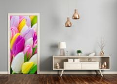 tulup.sk Samolepiace fototapety na dvere farebné tulipány 75x205 cm