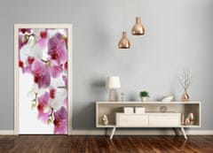 tulup.sk Fototapeta na dvere orchidea 75x205 cm