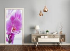 tulup.sk Fototapeta na dvere ružová orchidea 95x205 cm