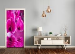 tulup.sk Fototapeta samolepiace ružová orchidea 95x205 cm