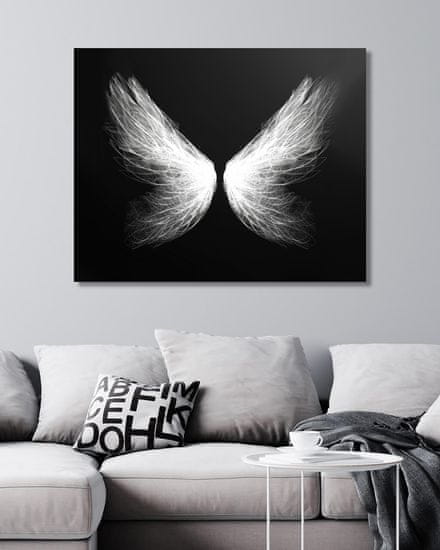 ZUTY Obrazy na stenu - Čiernobiela ľahkosť - krídla