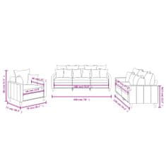 Petromila vidaXL 3-dielna sedacia súprava s vankúšmi bledosivá zamat