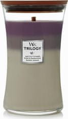 Woodwick Vonná sviečka s dreveným knôtom Trilogy Amethyst Sky 609 g