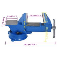 Vidaxl Stolný zverák 125 mm liatinový