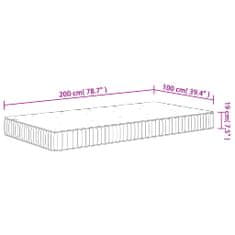 Petromila vidaXL Taštičkový pružinový matrac stredný 100x200 cm