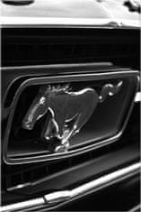 ZUTY Obrazy na stenu - Jazdiaci Mustang - Spunkr, 20x30 cm