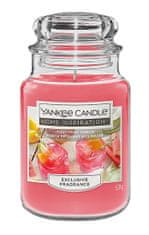 Yankee Candle vonná sklenená sviečka FIZZY FRUIT PUNCH 538g (horí 130h)