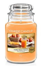 Yankee Candle sklenená vonná sviečka FARM FRESH PEACH 623g (horí 150h)