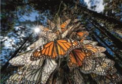 Clementoni Puzzle National Geographic: Milióny motýľov monarchov cestujú do zimovísk v Mexiku 1000 dielikov