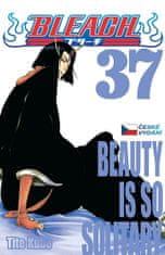 Tite Kubo: Bleach 37: Beauty Is So Solitary