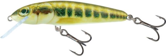 Salmo Rybárske woblery MINNOW M7S, potápavý - Minnow