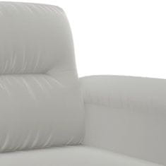 Petromila vidaXL 2-dielna sedacia súprava s vankúšmi bledosivá mikrovlákno