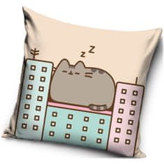 Carbotex Vankúš Pelech mačičky Pusheen