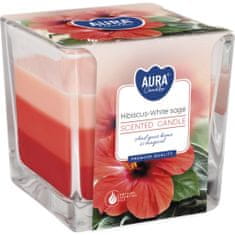 Bispol trojfarebná vonná sviečka v skle Hibiscus-White Sage 170g