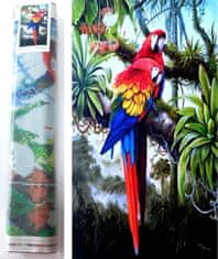 Norimpex Diamantové maľovanie Farebné papagáje 80x40cm