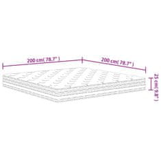 Petromila vidaXL Taštičkový pružinový matrac stredný 200x200 cm