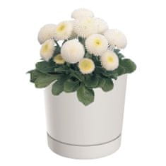 botle Okrúhly kvetináč s podstavcom Ø14,7 cm matný biely