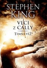 Stephen King: Temná věž V. - Vlci z Cally - Temná věž V