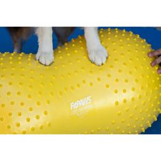 Vidaxl FitPAWS Balančná plošina pre domáce zviera Trax Peanut 40 cm žltá