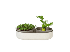 Plastia Kľúčiaca miska MICROGREENS + Regrow - slonová kosť s kávovou usadeninou