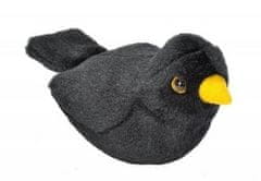 Plnený vták - Blackbird