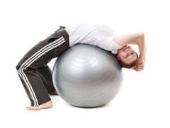 Sobex Gymnastická fitness lopta 55 cm cvičebná pumpa
