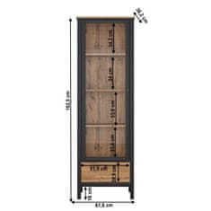 KONDELA Vitrína 1W1S hnedá, čierna LOFTA drevotrieska 38.2 x 61.8 x 192.5 cm