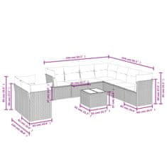Petromila vidaXL 10-dielna záhradná sedacia súprava s vankúšmi polyratan čierna