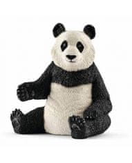 Hollywood Figúrka panda - Schleich - 7 cm