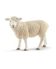Hollywood Figúrka ovca domáca - Schleich - 8,5 cm