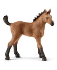 Hollywood Figúrka žriebätko Quarter - Schleich - 8 cm 