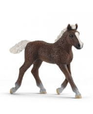 Hollywood Figúrka žriebätko schwarzwaldské - Schleich - 9,5 cm