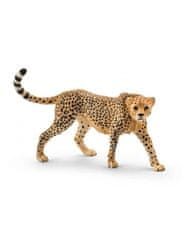 Hollywood Figúrka samica geparda - Schleich - 11 cm